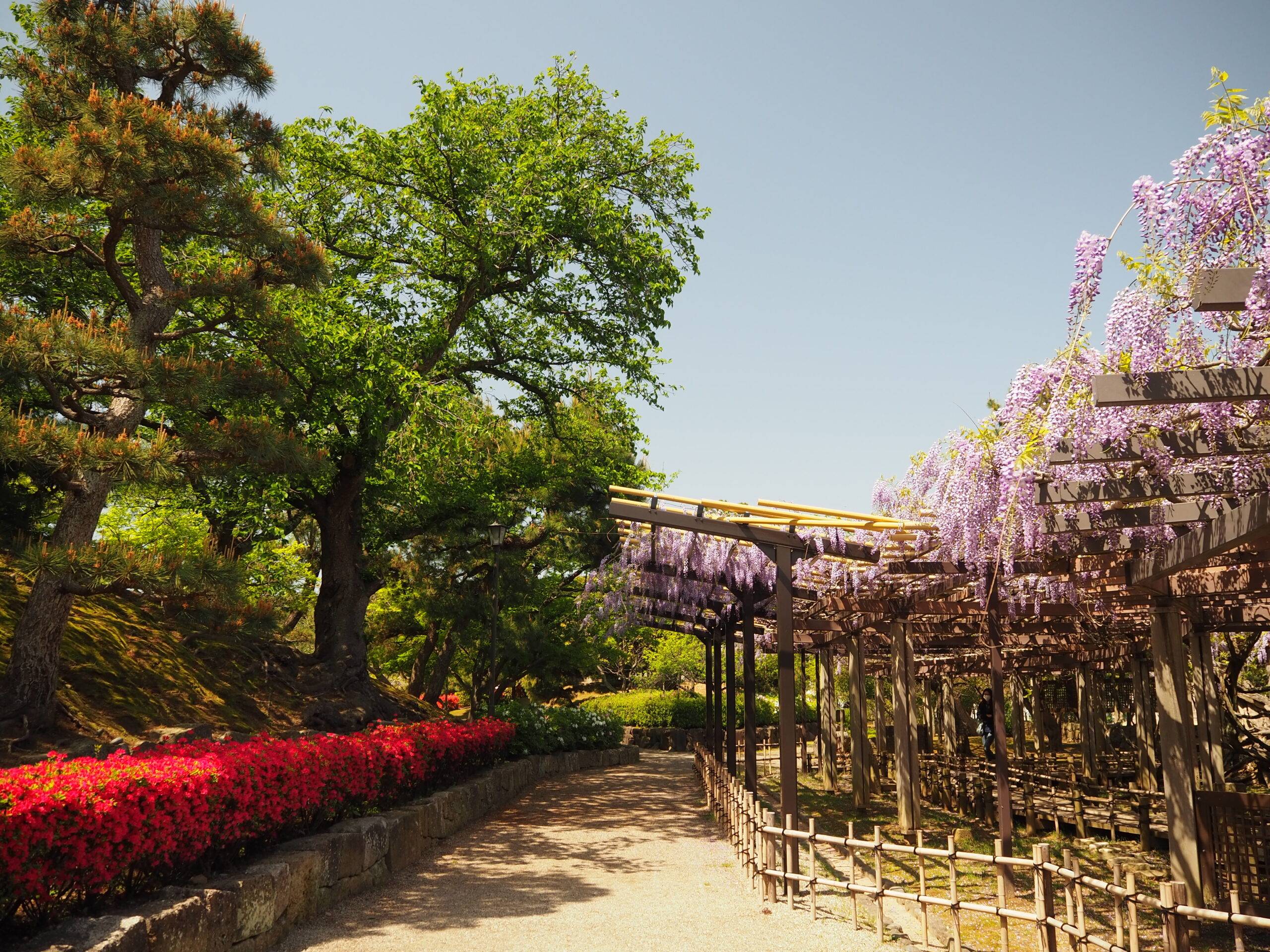 🌳 로조 공원 (아시로조 코엔) 이미지 5